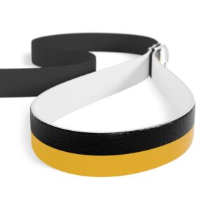 Black and Gold Stylish Dual-Color Dog Leash - Durable & Comfortable