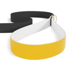 Gold Stylish Dual-Color Dog Leash - Durable & Comfortable