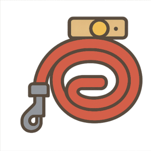 Dog Leashes & Dog Collars