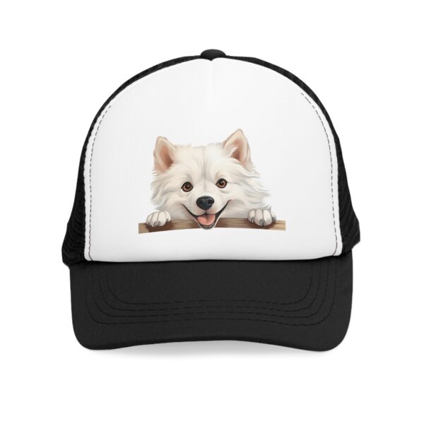 American Eskimo - Image 2