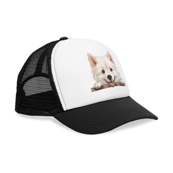 American Eskimo - Image 3