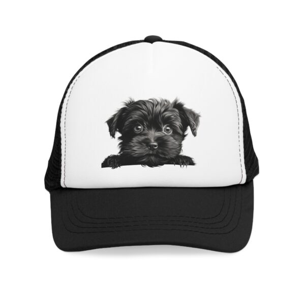Affenpinscher - Image 2