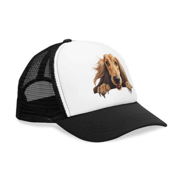 Afghan Hound - Image 3