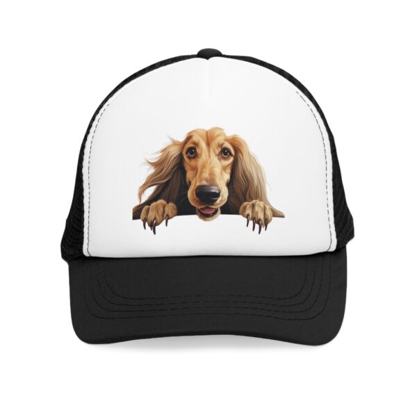 Afghan Hound - Image 2