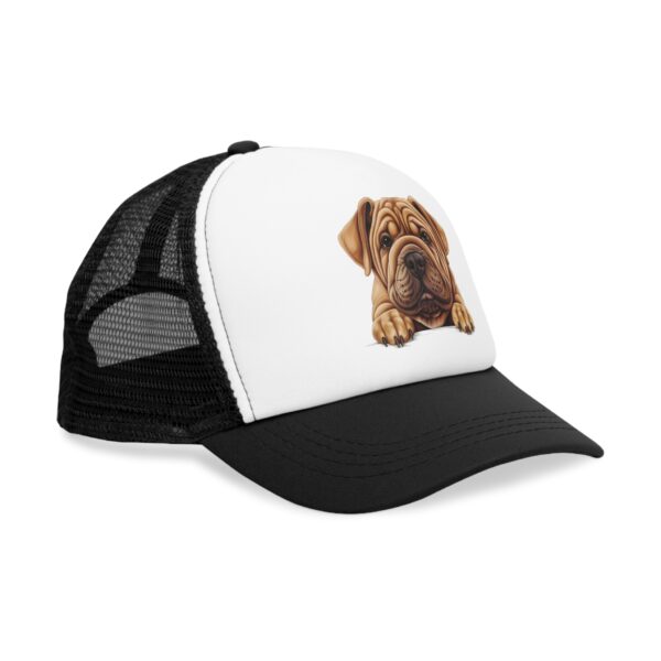 Shar-Pei - Image 3